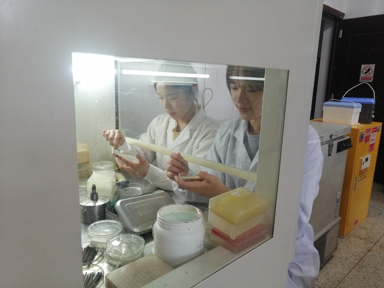 Undergraduate laboratory work