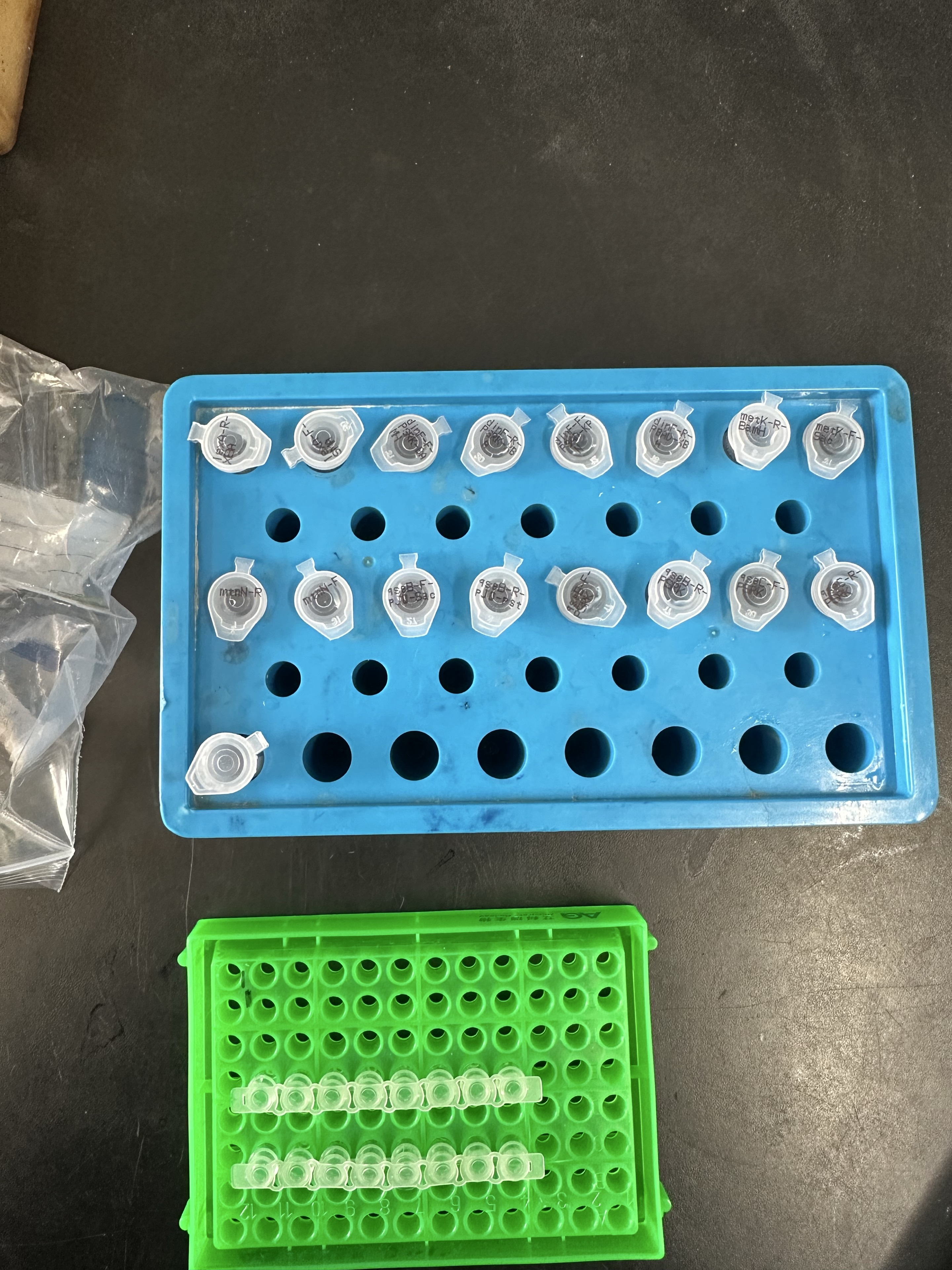 Samples from my undergraduate experiments