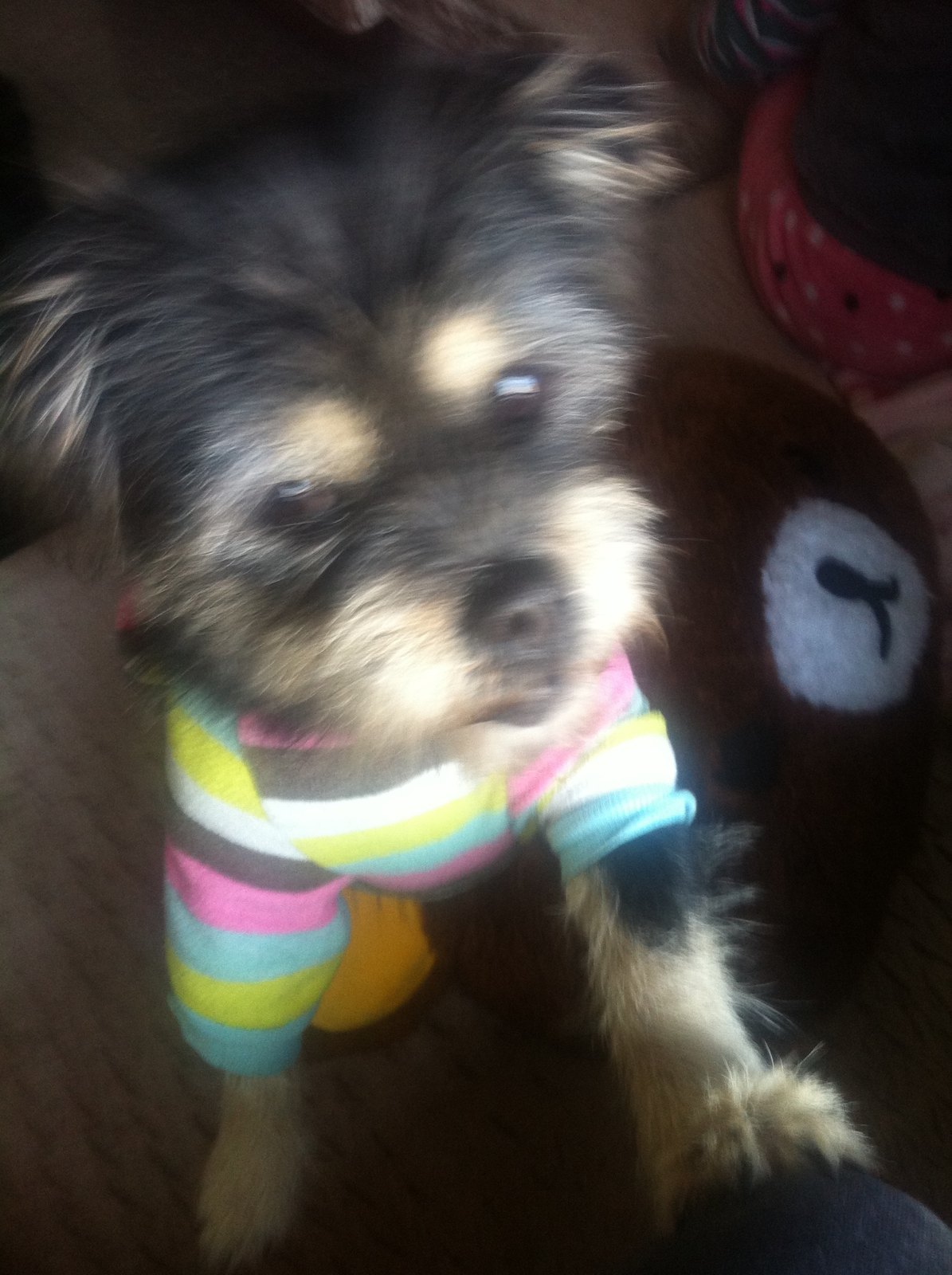 Colourful jumper days.