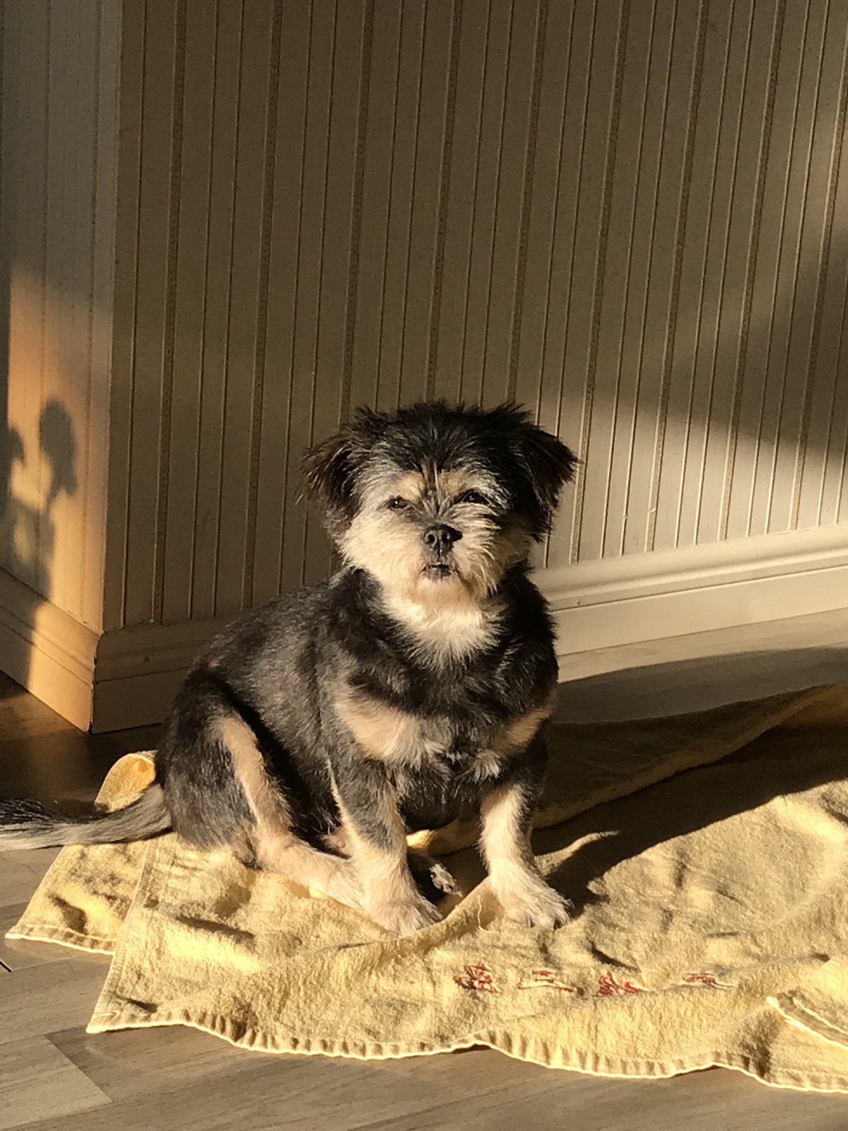 A sunny spot at home.