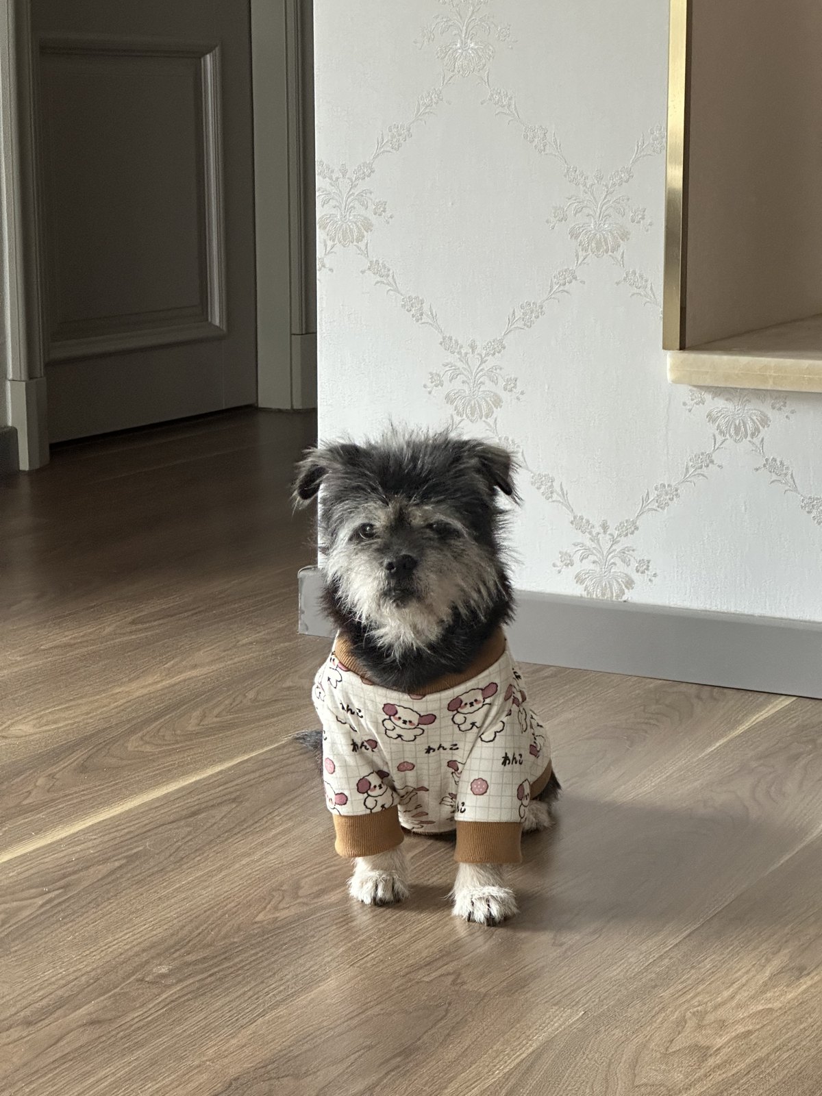 At home, in her little jumper.