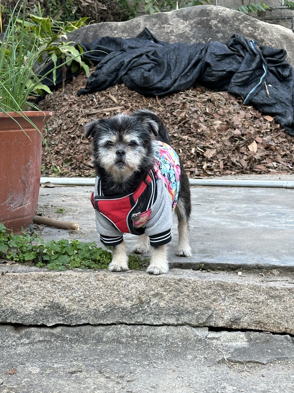 A little adventure outside.