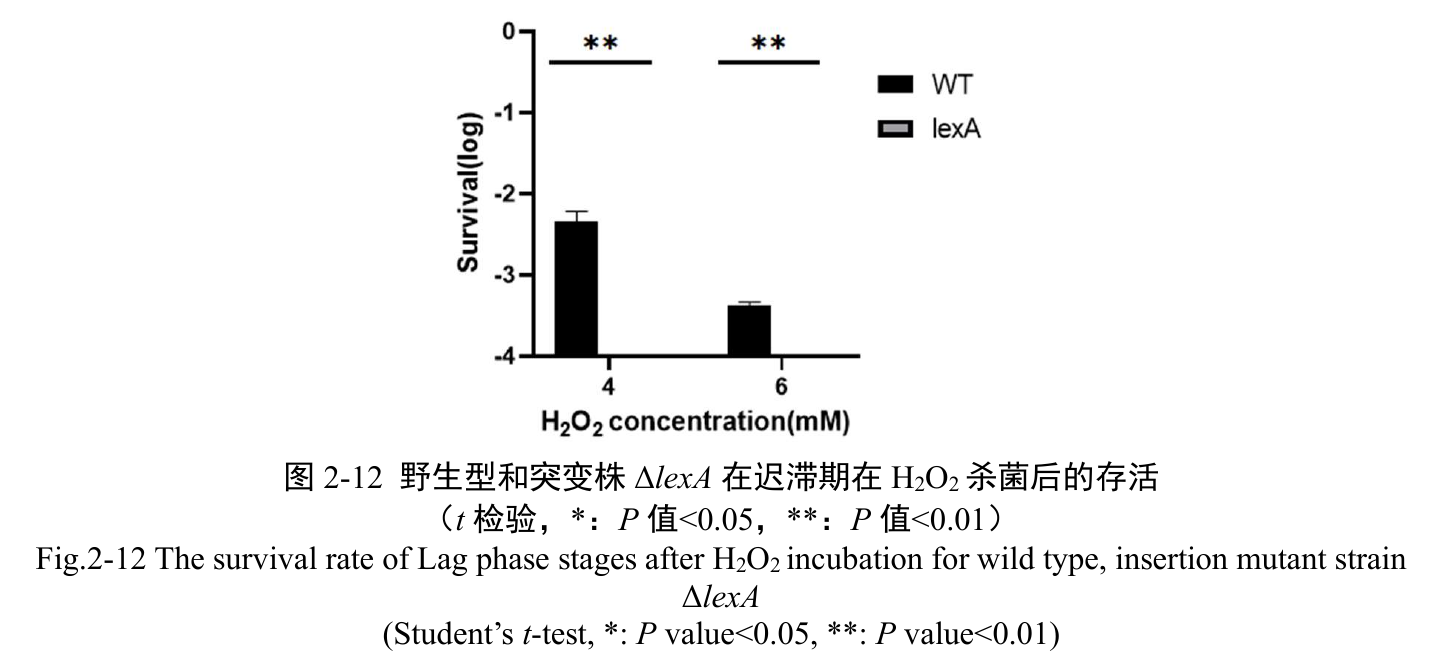 Original LexA comparison of hydrogen peroxide survival, with original bilingual caption.