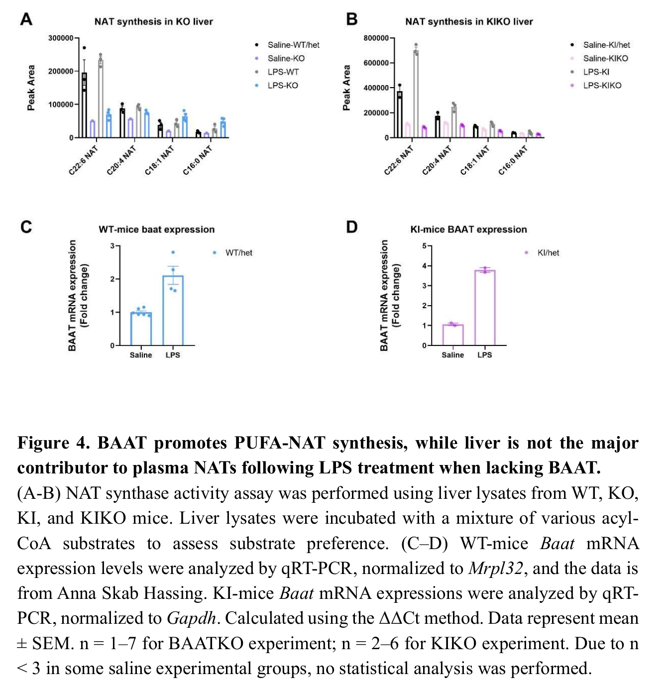Original Figure 4: hepatic NAT synthase activity and Baat mRNA expression across study groups.