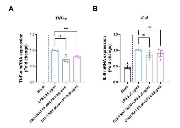 Original Figure 6: TNF-alpha expression falls with NAT pretreatment in Huh7 cells; IL-6 comparisons are marked not significant.