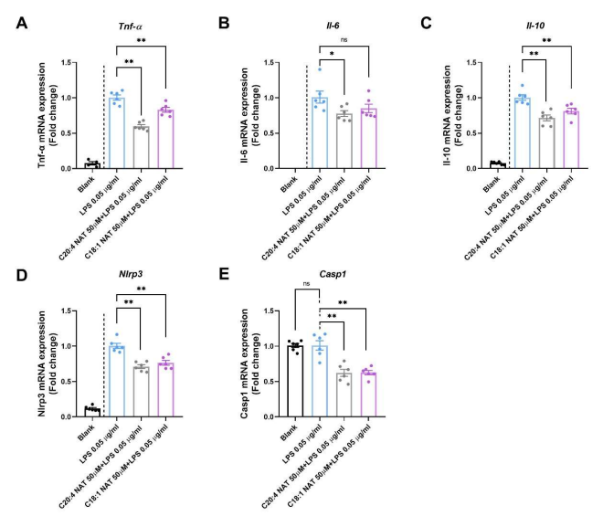 Original Figure 7: cytokine and inflammasome-related mRNA expression in primary mouse hepatocytes after NAT pretreatment and LPS.